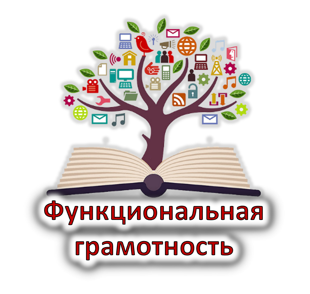Формирование функциональной грамотности при обучении естественнонаучных предметов (с использованием ДОТ))